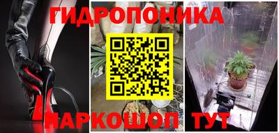крисы Бузулук