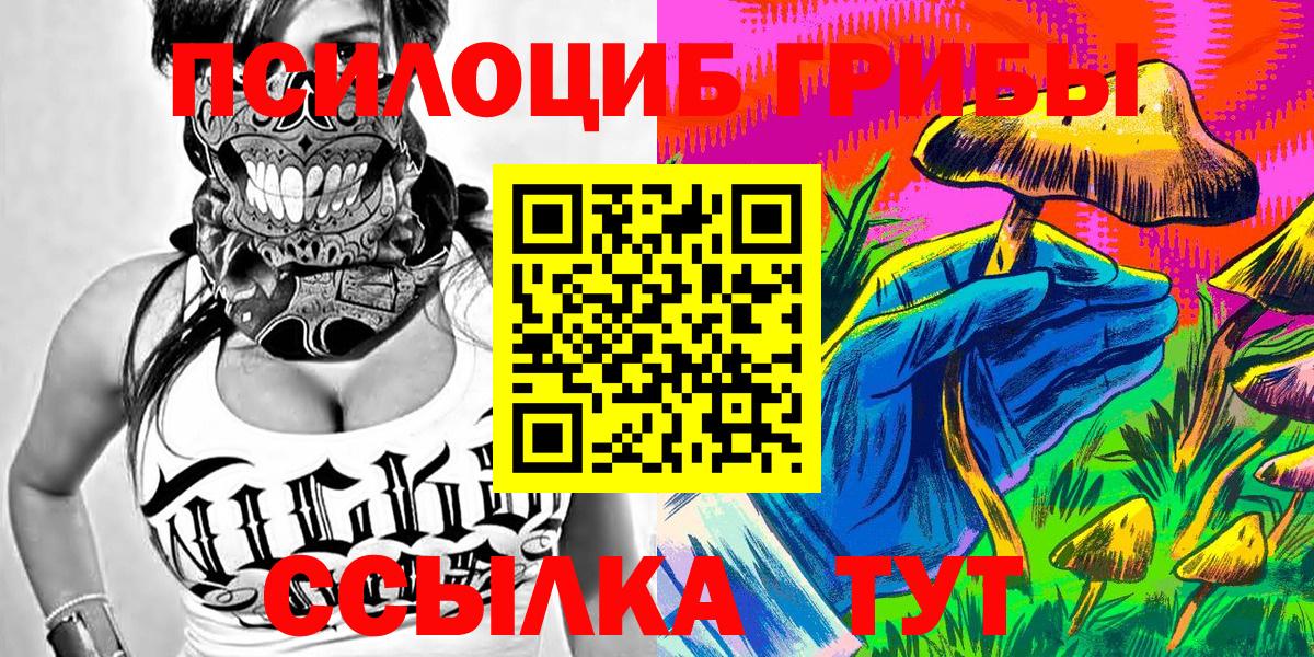 Псилоцибиновые грибы GOLDEN TEACHER Саянск